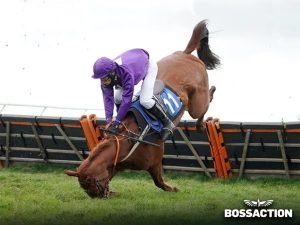 Should You Open Your Bookie Racebook to Your Players?