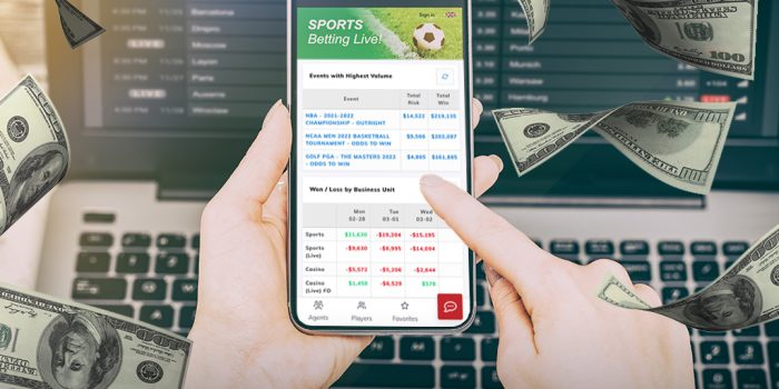 What Are Sports Betting Agents?