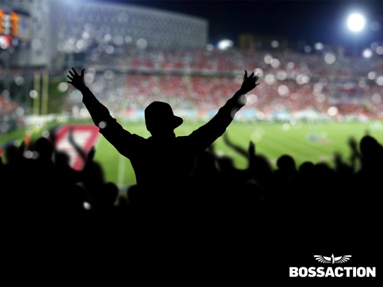Read more about the article Bookie Tips: Manage Your NFL Sportsbook with Proprietary Software